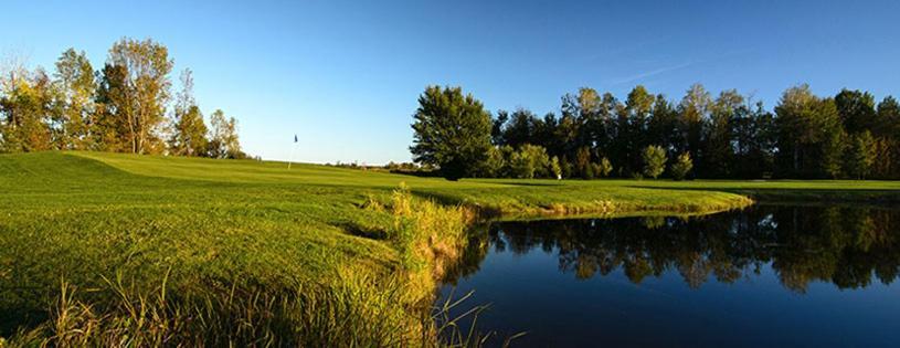 Sunny Birch Cottages Sauble Beach Exteriör bild